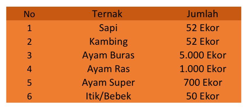 WhatsApp Image 2025-12-04 at 15.55.23_1d47603a