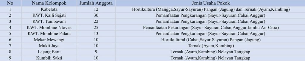 WhatsApp Image 2025-12-04 at 15.55.23_709d57b4