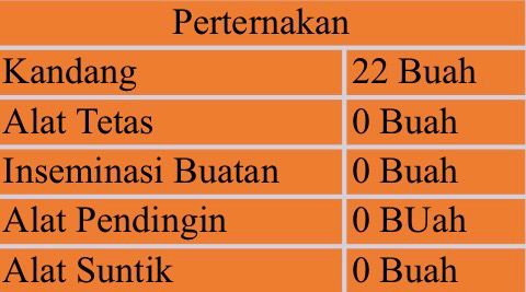 WhatsApp Image 2025-12-04 at 15.55.24_6f9b56e5